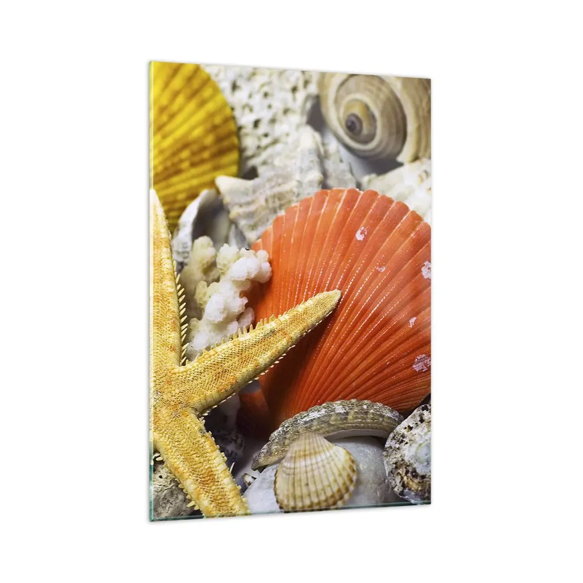 Quadro su vetro - Conchiglie e stelle marine in una composizione marina - 80x120cm - Tesori dell'oceano - Decorazione murale moderna per soggiorno e camera da letto ARTTOR