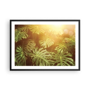 Poster in cornice nera - Foglie di Monstera alla luce del sole su uno sfondo naturale - 70x50cm - Entrando nel verde... - Decorazione murale moderna per soggiorno e camera da letto ARTTOR