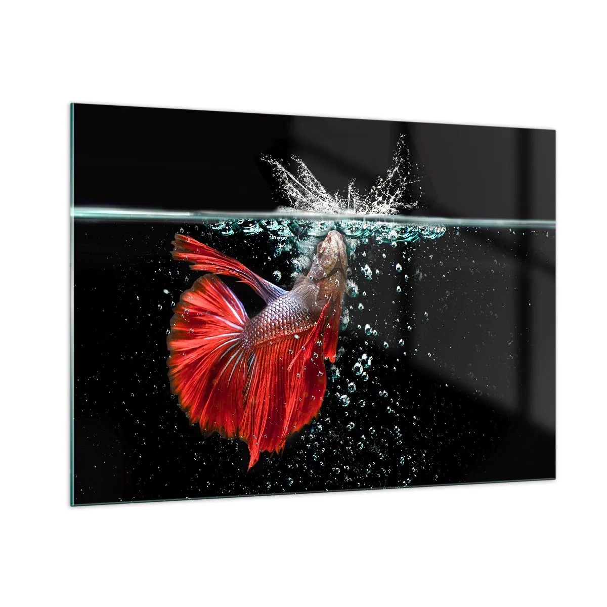 Quadro su vetro - Betta rosso in una composizione d'acqua dinamica - 100x70cm - Hai tre desideri - Decorazione murale moderna per soggiorno e camera da letto ARTTOR