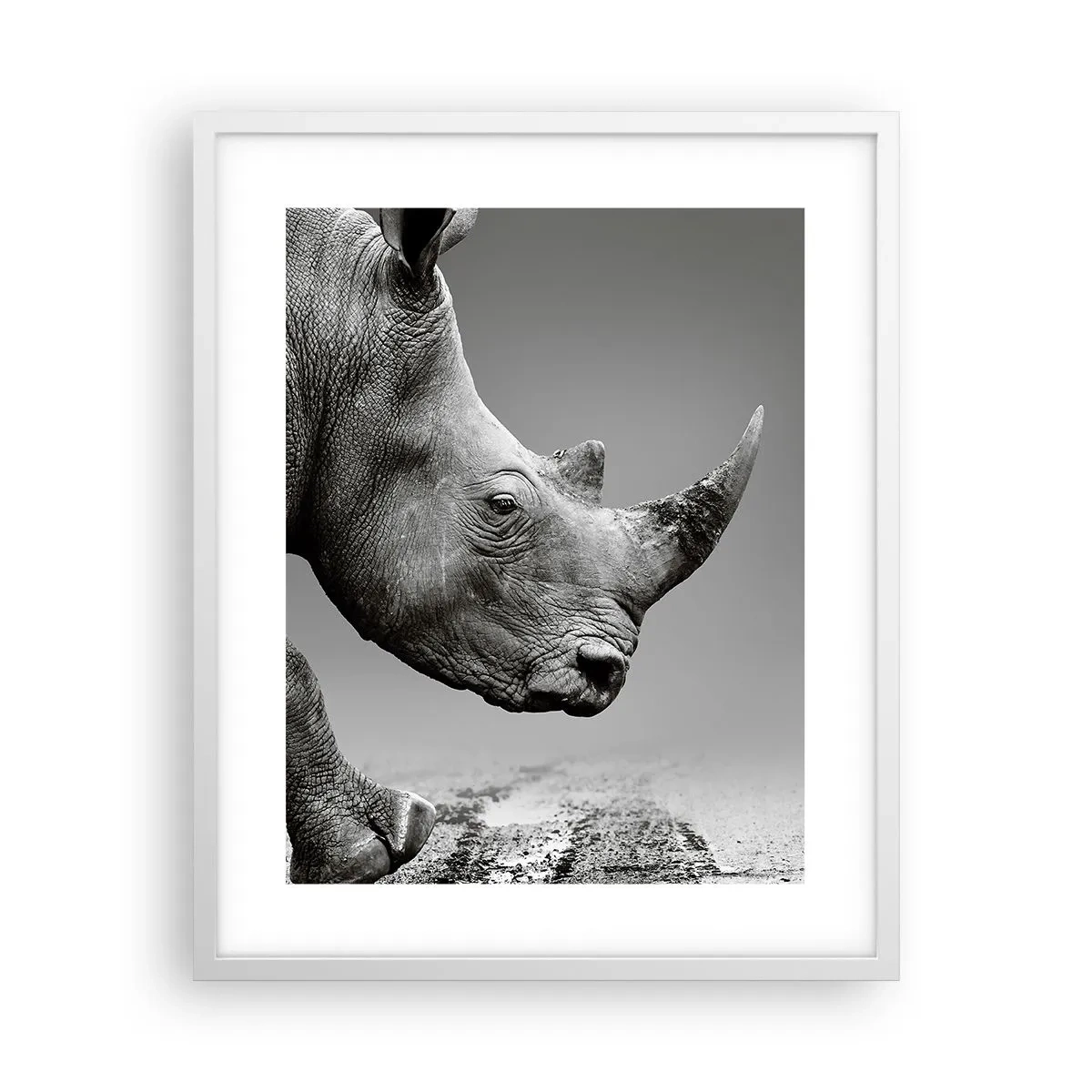 Poster in cornice bianca - Forza irrefrenabile - 40x50 cm