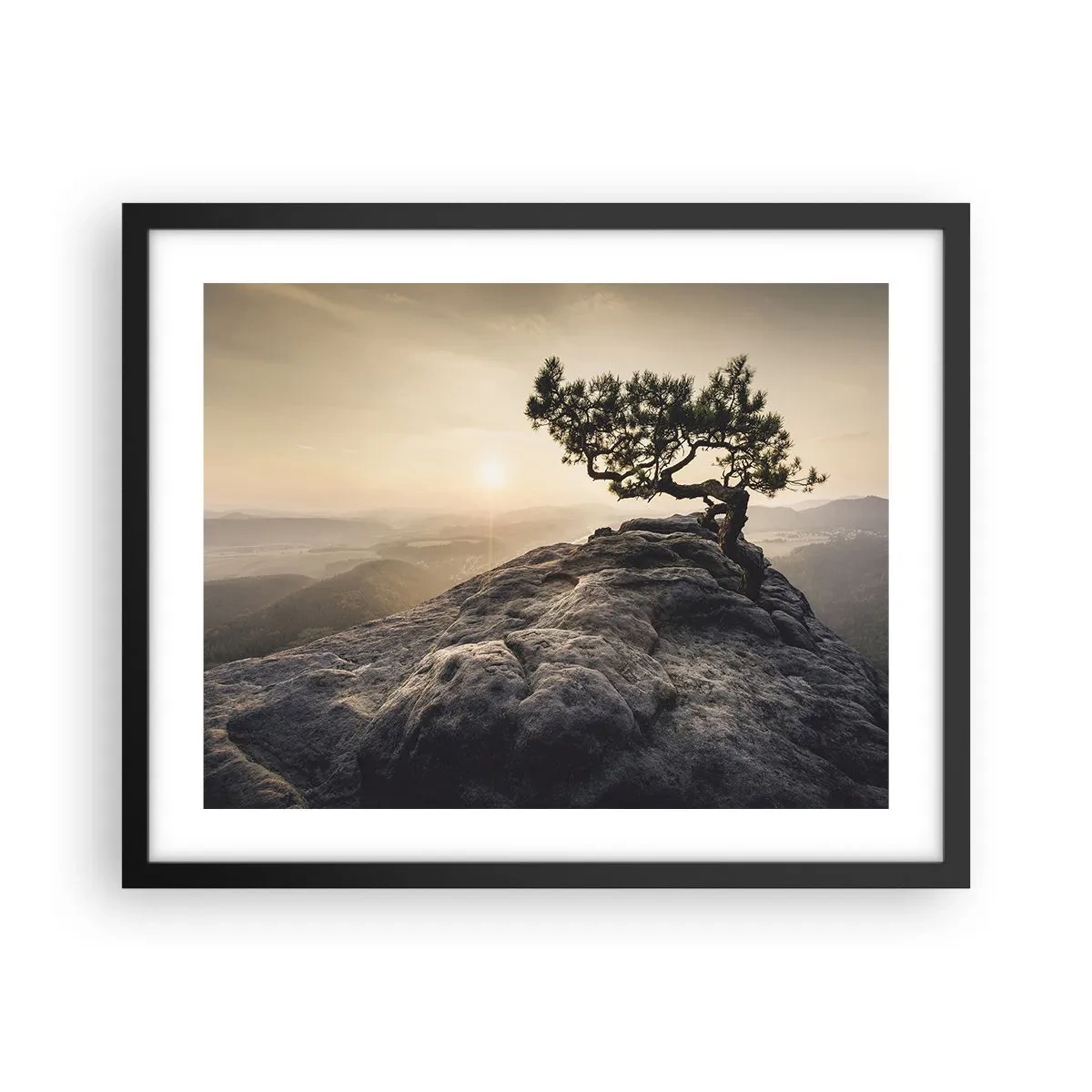 Poster in cornice nera - La vita vince sempre - 50x40 cm