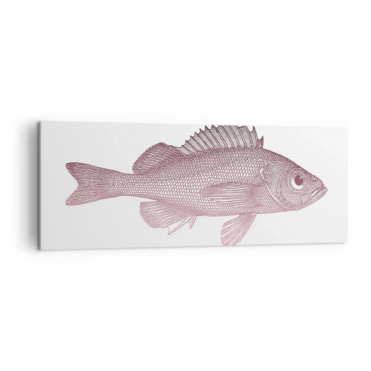 Quadro su tela - Stampe su Tela - Illustrazione dettagliata di un pesce su sfondo bianco - 140x50cm - Il pesce dagli occhi enormi - Decorazione murale moderna per soggiorno e camera da letto ARTTOR