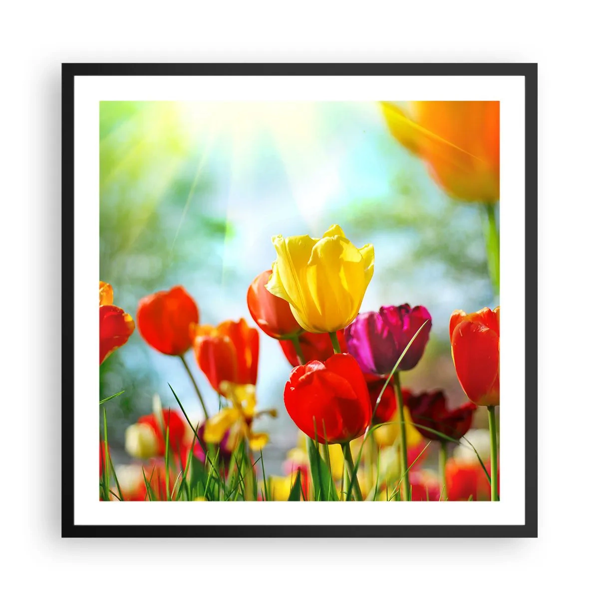 Poster in cornice nera - Tutti i colori del sole - 60x60 cm