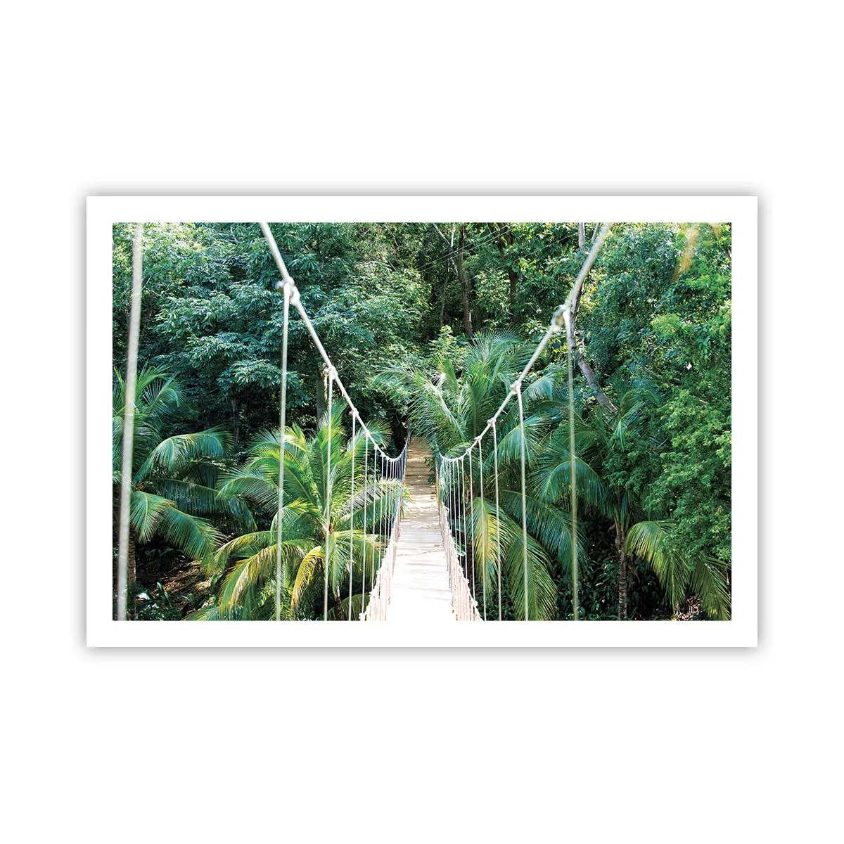 Poster - Welcome to the jungle! - 91x61 cm