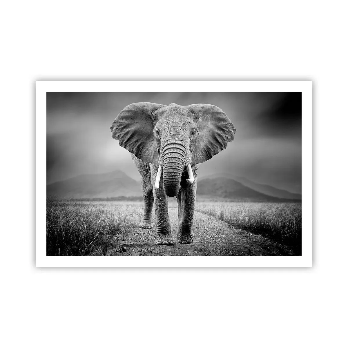 Poster - Il padrone di casa dà il benvenuto - 91x61 cm