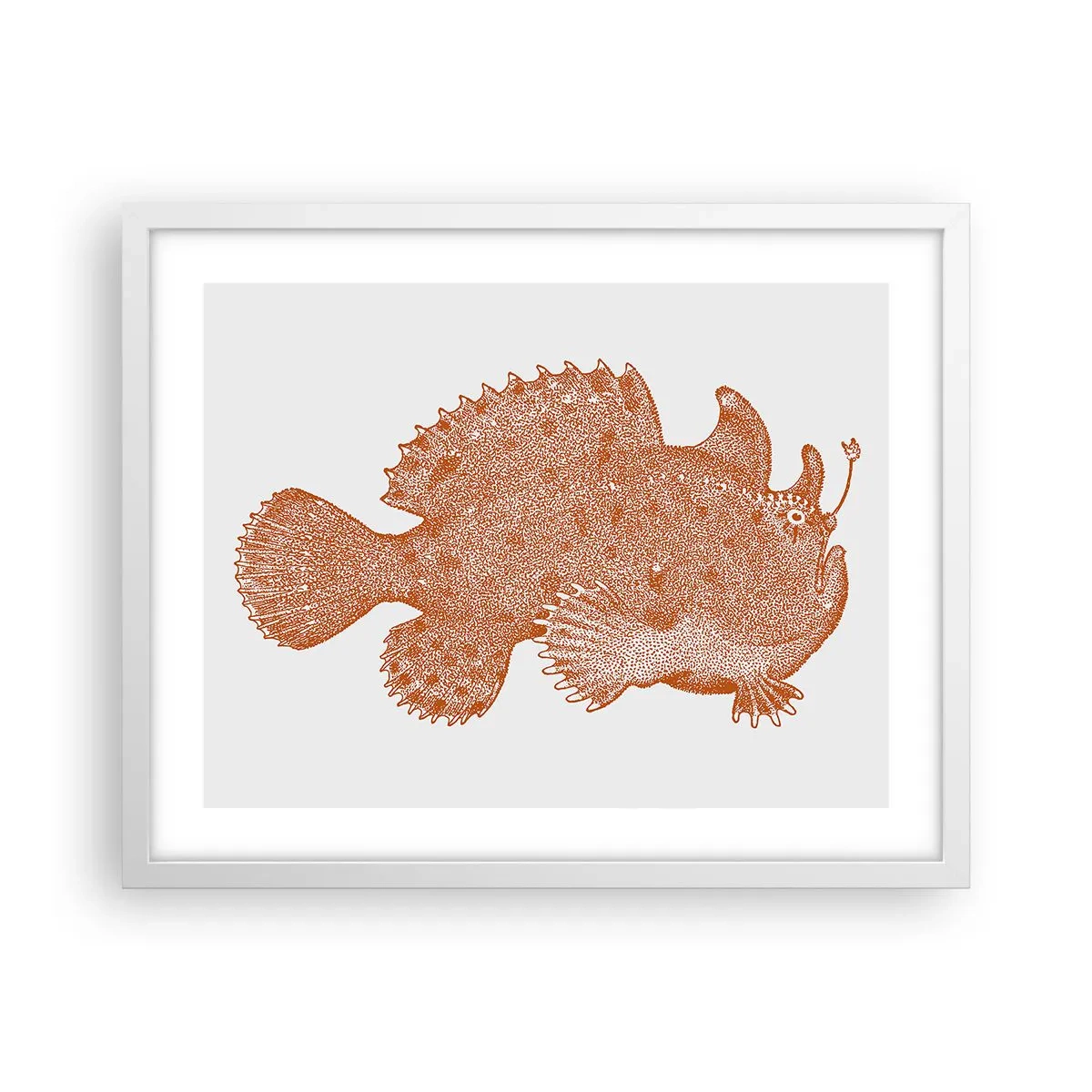 Poster in cornice bianca - È davvero un pesce - 50x40 cm