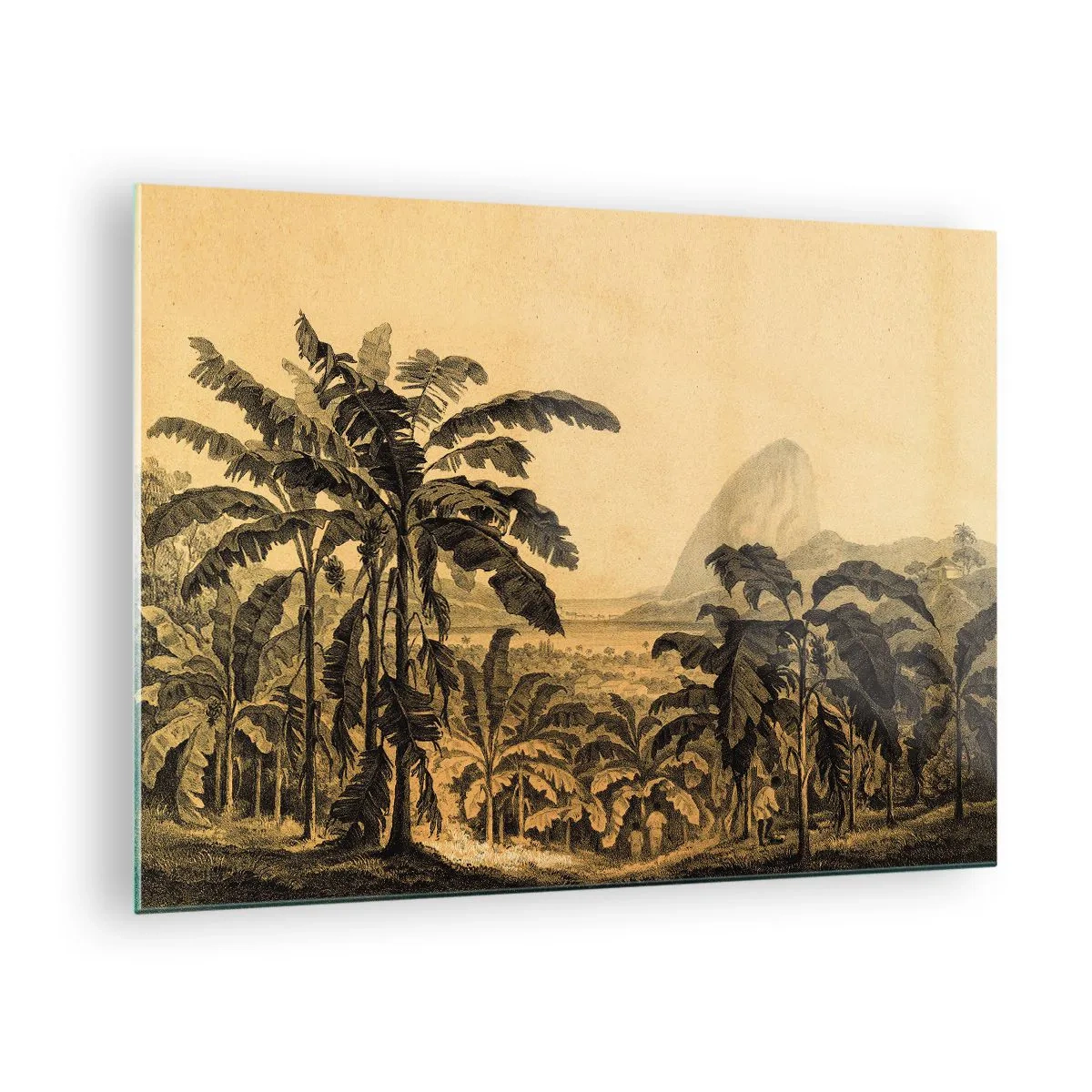 Quadro su vetro - Illustrazione d'epoca di una piantagione di banane con una montagna in lontananza sullo sfondo. - 70x50cm - Nel clima coloniale - Decorazione murale moderna per soggiorno e camera da letto ARTTOR