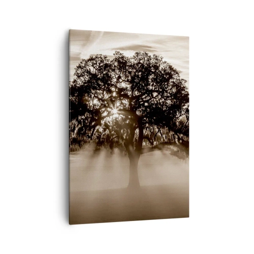 Quadro su tela - Stampe su Tela - Raggi di sole che brillano attraverso un albero solitario - 70x100cm - L'albero delle sole buone notizie - Decorazione murale moderna per soggiorno e camera da letto ARTTOR