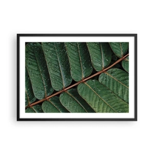 Poster in cornice nera - Macro di foglie verdi con gocce di rugiada - 70x50cm - Al ritmo verde - Decorazione murale moderna per soggiorno e camera da letto ARTTOR
