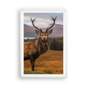 Poster in cornice bianca - Maestà della natura - 61x91 cm