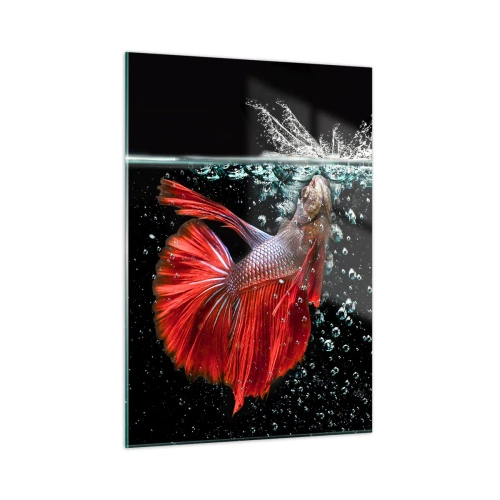 Quadro su vetro - Betta rosso in una composizione d'acqua dinamica - 50x70cm - Hai tre desideri - Decorazione murale moderna per soggiorno e camera da letto ARTTOR