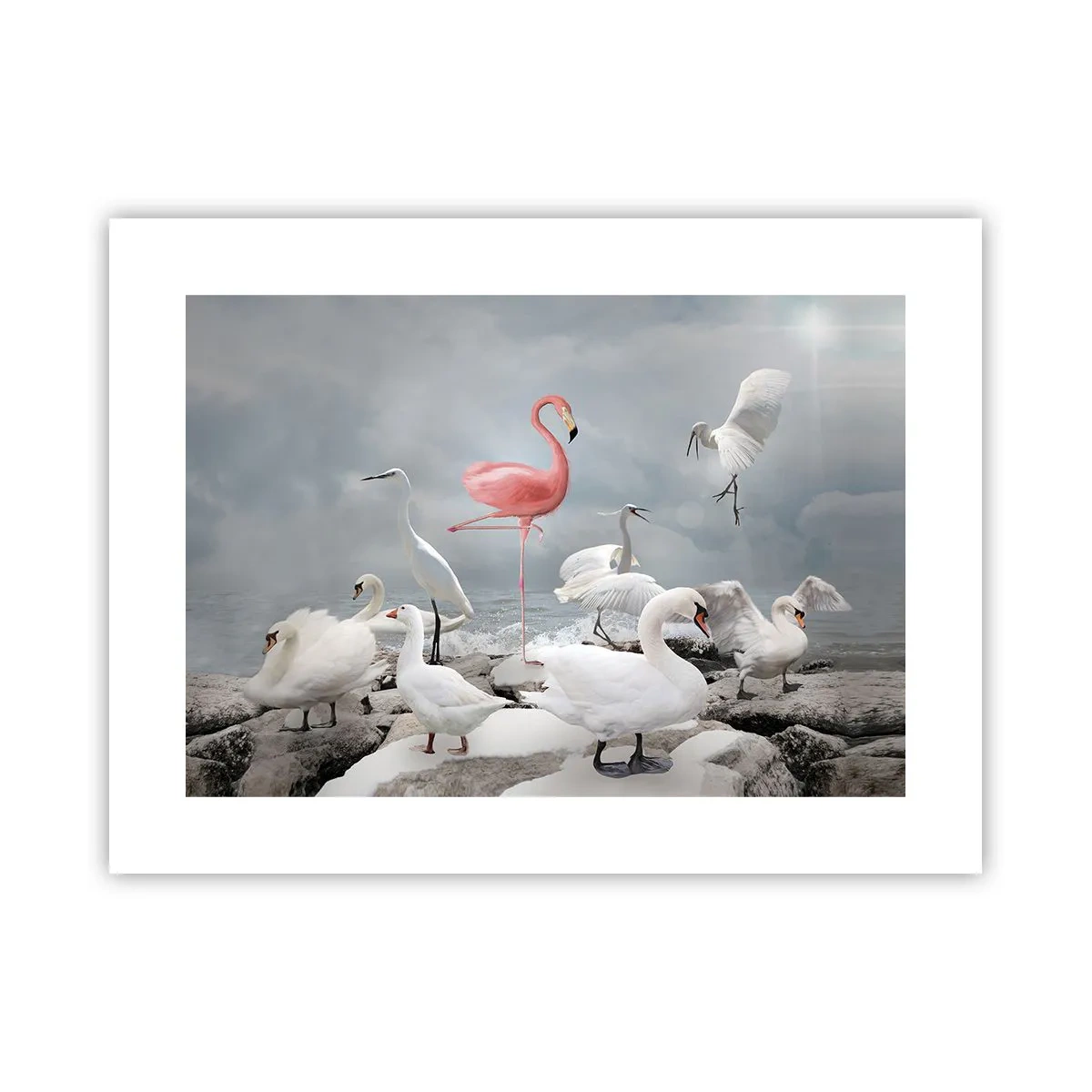 Poster - Come sono arrivato qui? - 40x30 cm