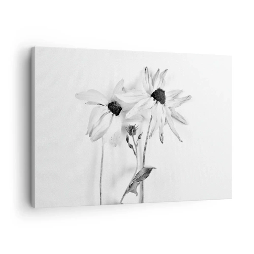 Quadro su tela - Stampe su Tela - Fiori bianchi e neri con una composizione delicata - 70x50cm - Nessuno vuole essere solo - Decorazione murale moderna per soggiorno e camera da letto ARTTOR