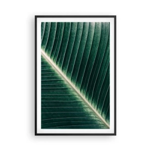Poster in cornice nera - Il ritmo della natura - 61x91 cm