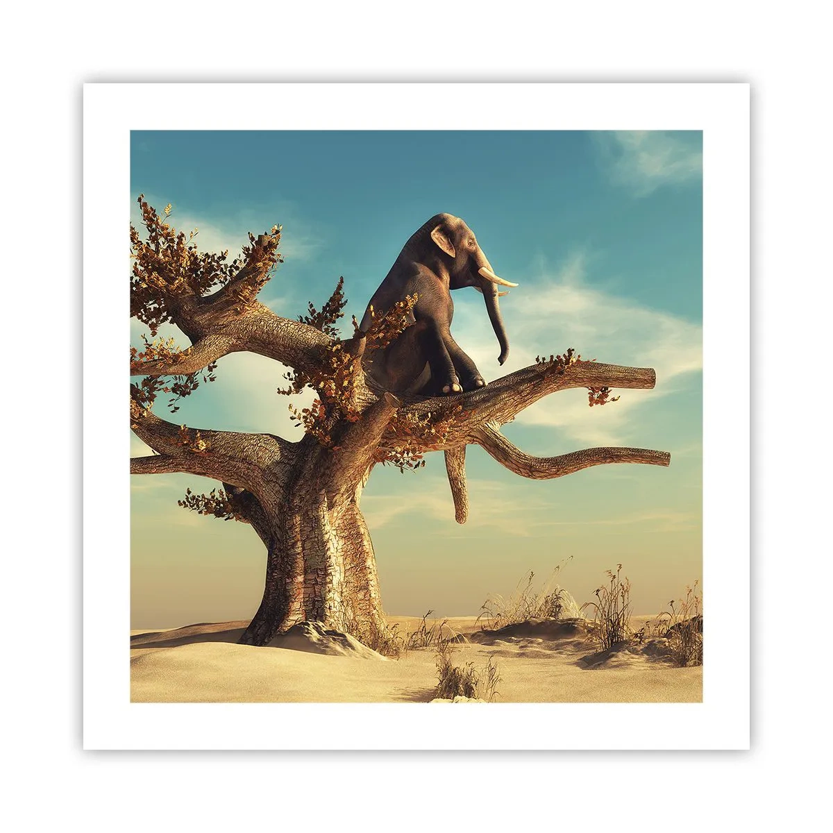 Poster - Nuovo punto di vista - 50x50 cm