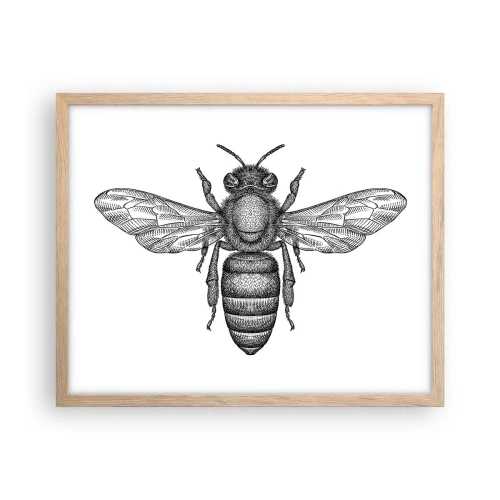 Poster in cornice rovere chiaro - Ritratto d'insetto - 50x40 cm