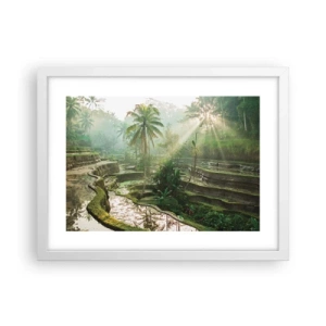 Poster in cornice bianca - Crescere al sole - 40x30 cm