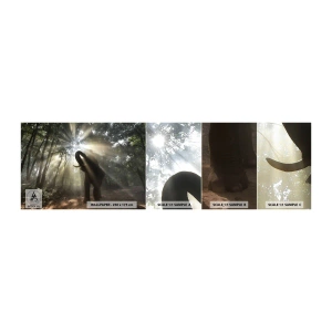 Campione Di Fotomurale Standard Eco - Sotto una stella fortunata - Paesaggio, Elefante, Giungla - 100x30 cm
