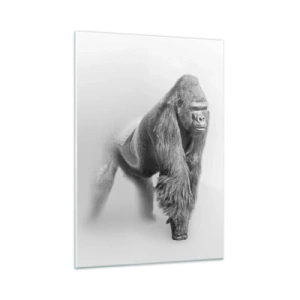 Quadro su vetro - Ritratto in bianco e nero di un maestoso gorilla su sfondo bianco - 50x70cm - Sicuro della propria forza - Decorazione murale moderna per soggiorno e camera da letto ARTTOR
