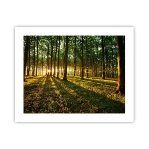 Poster - La foto di ogni primavera - 50x40 cm
