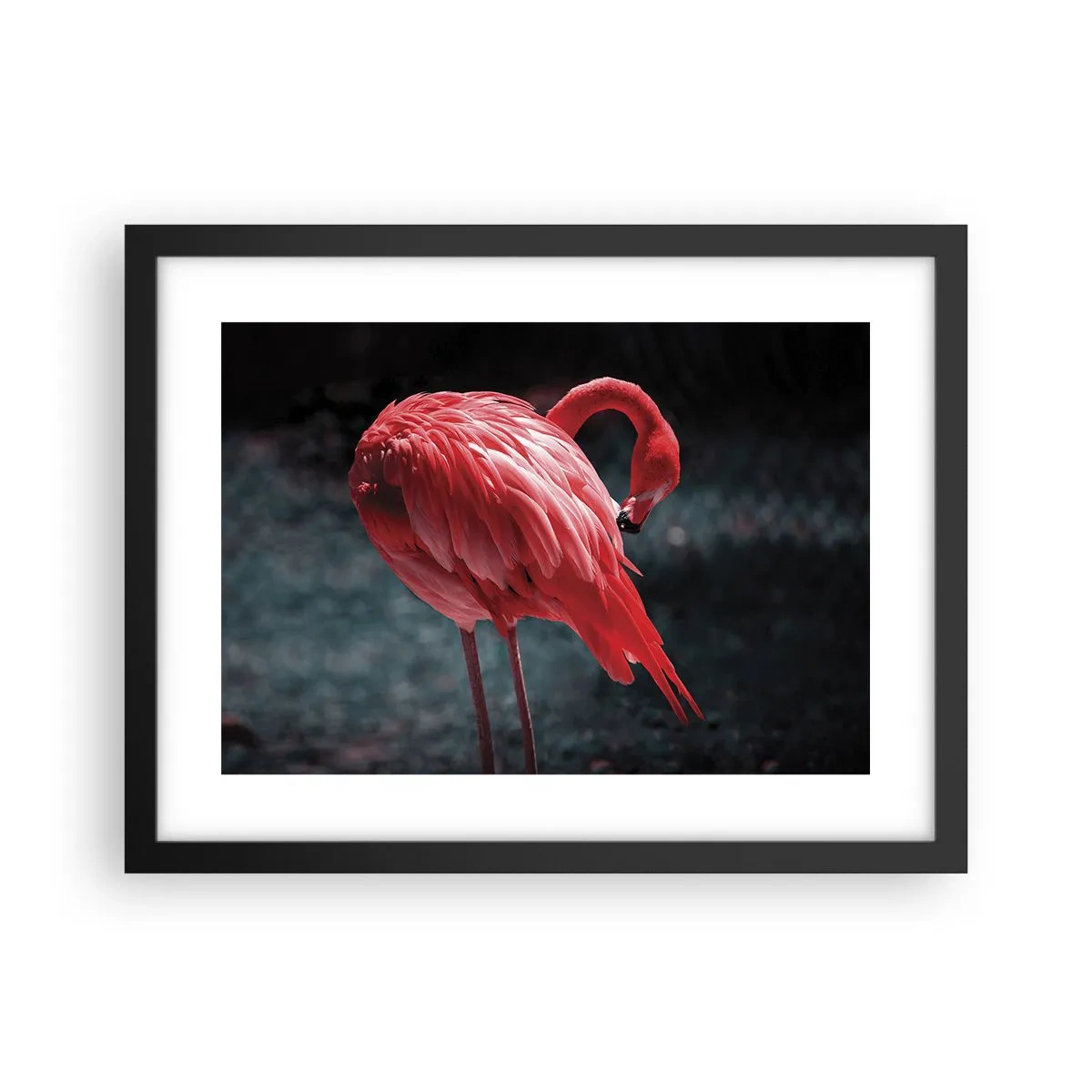 Poster in cornice nera - La poesia cremisi della natura - 40x30 cm