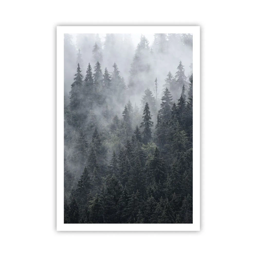 Poster - Alba nel bosco - 70x100 cm