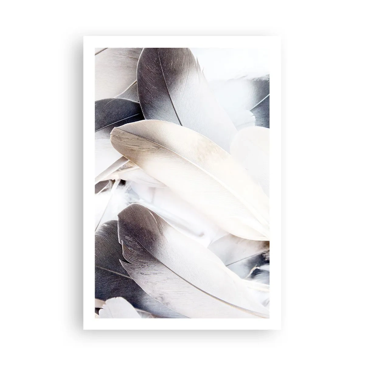 Poster - Quasi angeliche - 61x91 cm