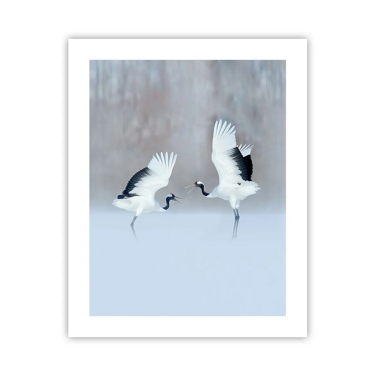 Poster - Danza nella nebbia - 40x50 cm