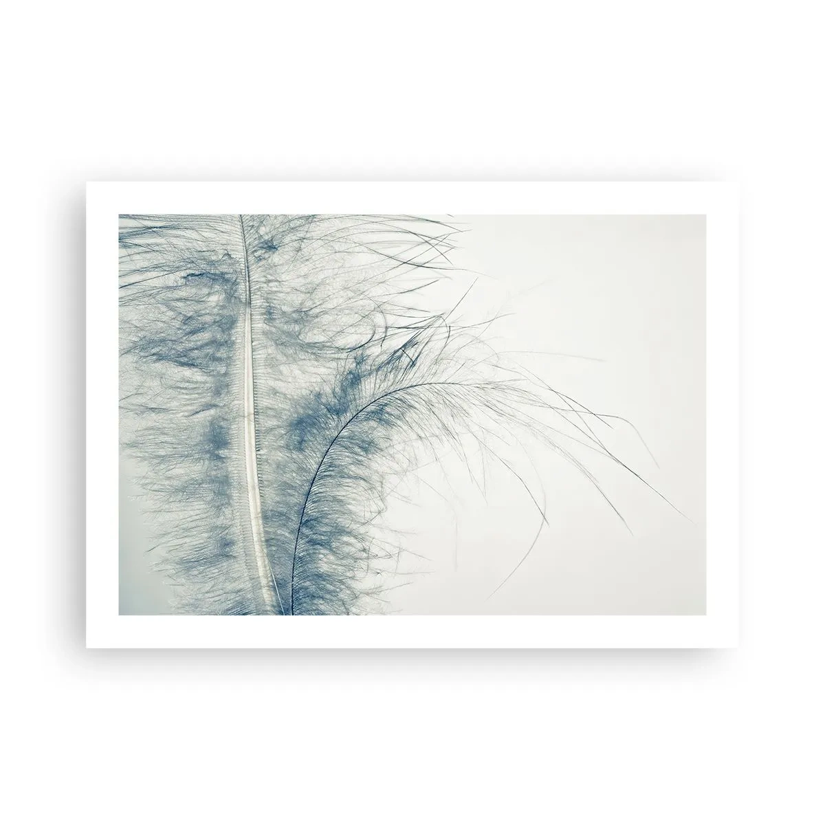 Poster - Il sussurro della natura - 70x50 cm