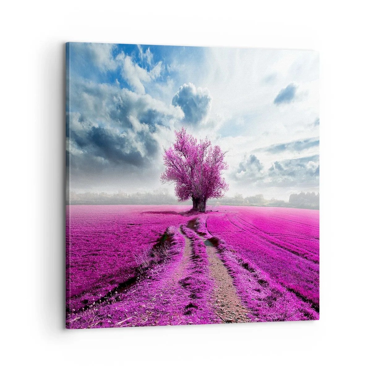 Quadro su tela - Stampe su Tela - Brughiera selvatica - 60x60 cm