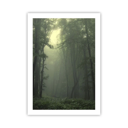 Poster - Alberi nebbiosi in una foresta verde - 50x70cm - Prima che si svegli - Decorazione murale moderna per soggiorno e camera da letto ARTTOR