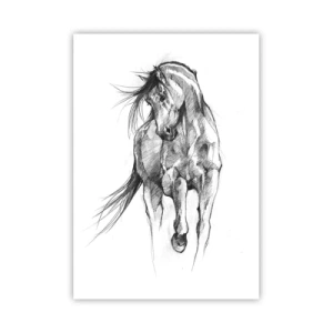 Poster - Trotto aggraziato - 70x100 cm