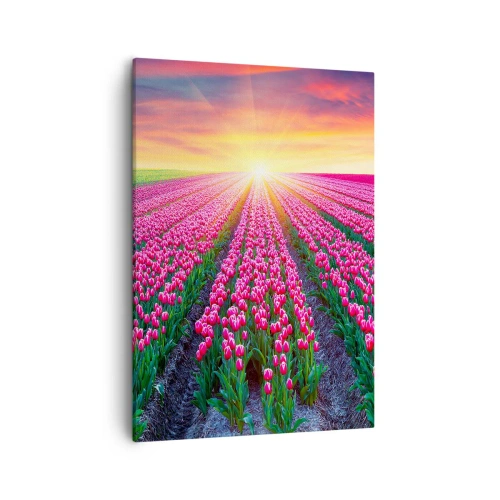 Quadro su tela - Stampe su Tela - Un campo di tulipani al tramonto - 50x70cm - La fattoria della bellezza - Decorazione murale moderna per soggiorno e camera da letto ARTTOR