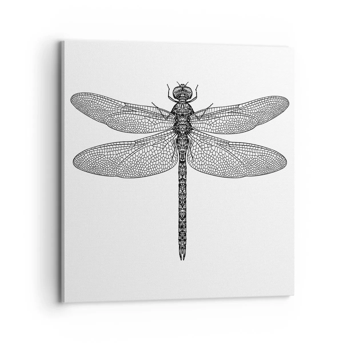 Quadro su tela - Stampe su Tela - La precisione della natura - 70x70 cm