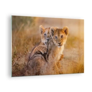 Quadro su vetro - Due giovani cuccioli di leone in un ambiente naturale di savana - 70x50cm - Non disturbare! Giochiamo - Decorazione murale moderna per soggiorno e camera da letto ARTTOR