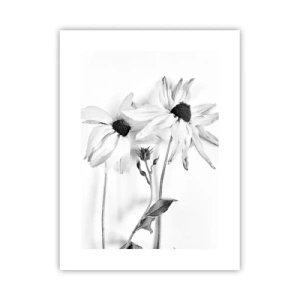 Poster - Nessuno vuole essere solo - 30x40 cm