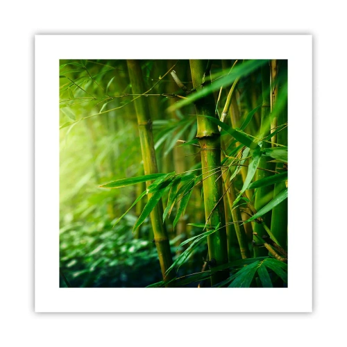Poster - Conoscere il verde in sé - 40x40 cm