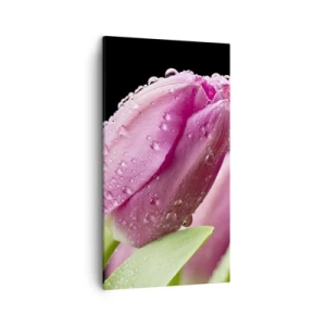 Quadro su tela - Stampe su Tela - Sogno lilla nella rugiada - 45x80 cm