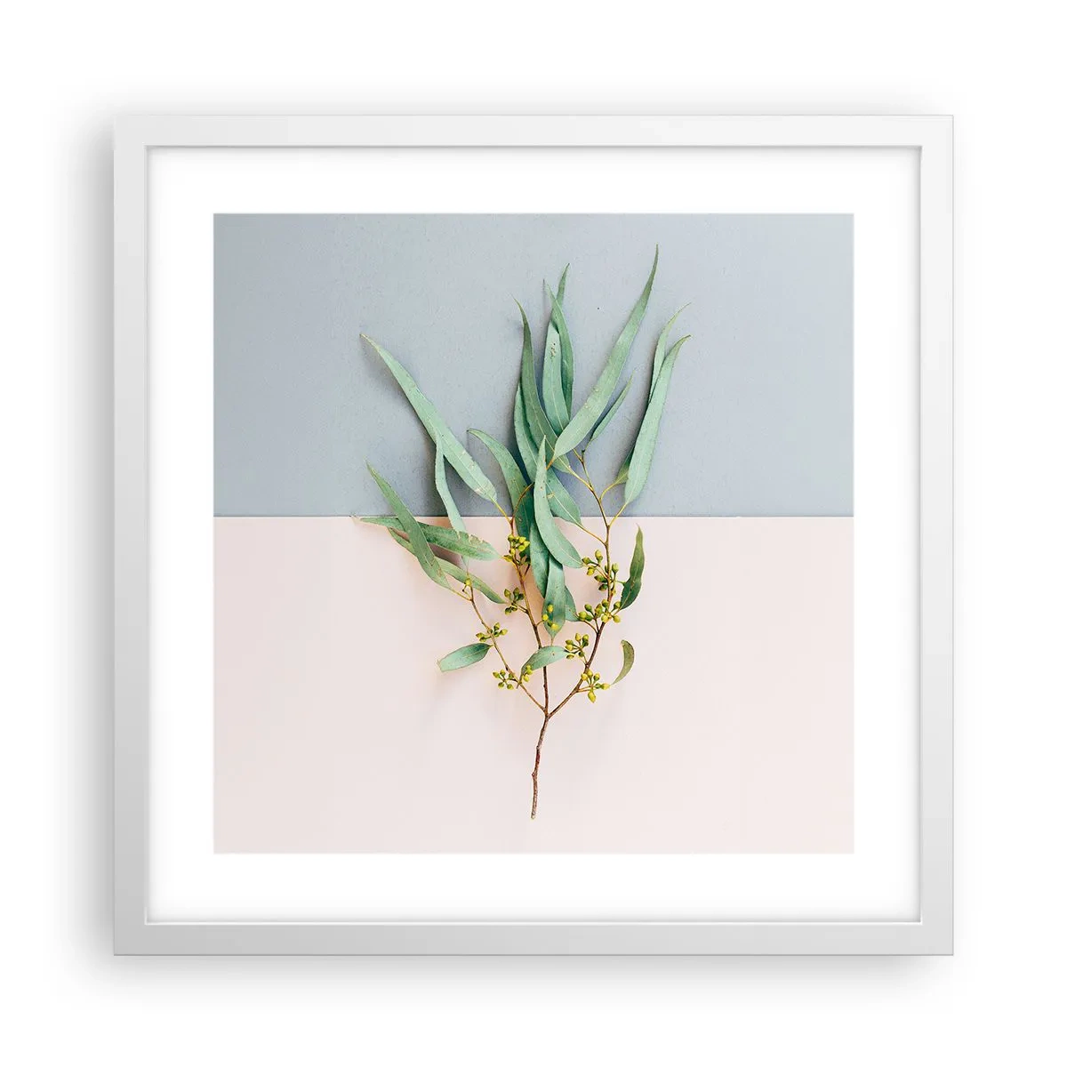 Poster in cornice bianca - Delicatezza pastello - 40x40 cm