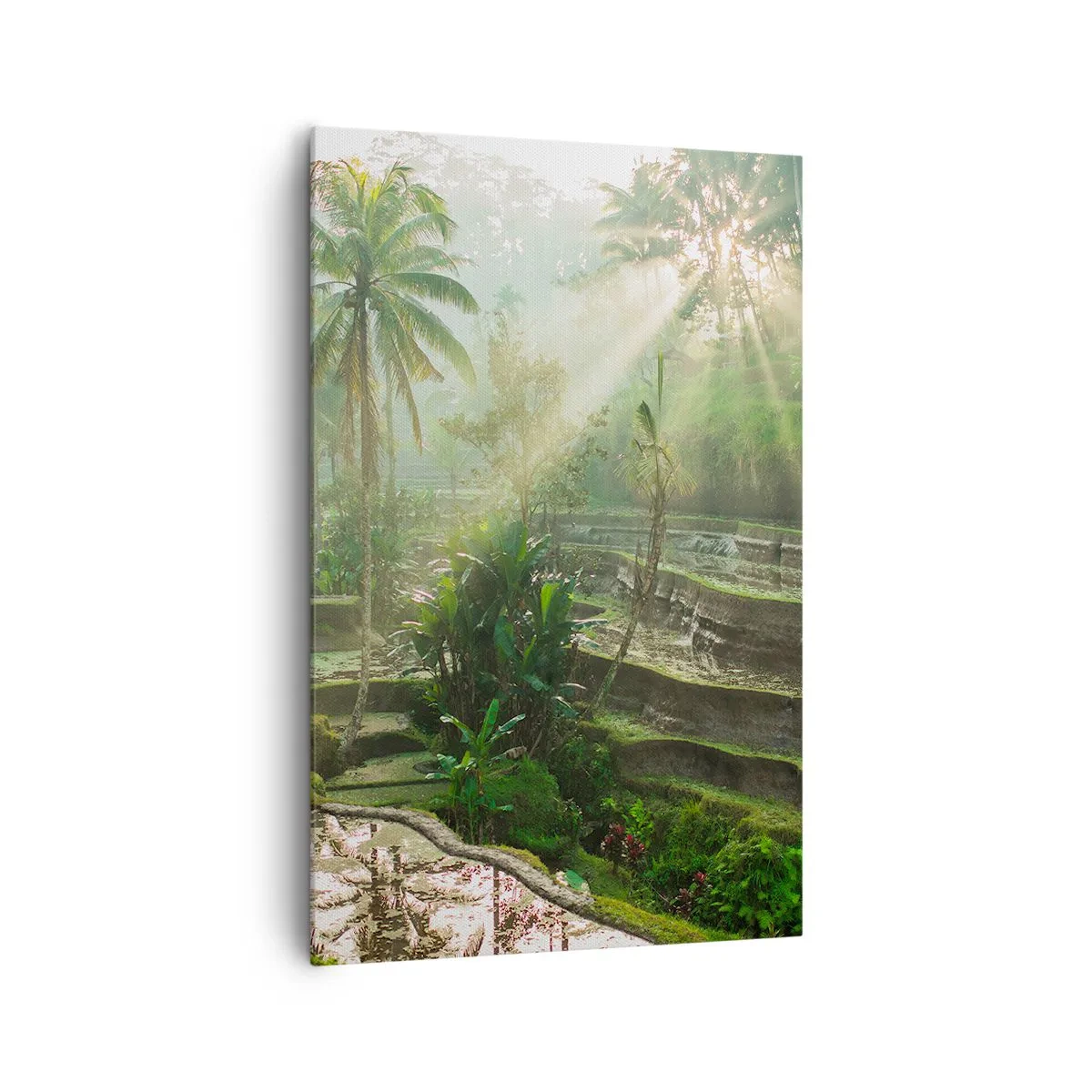 Quadro su tela - Stampe su Tela - Terrazze di riso con palme sotto i raggi del sole - 80x120cm - Crescere al sole - Decorazione murale moderna per soggiorno e camera da letto ARTTOR