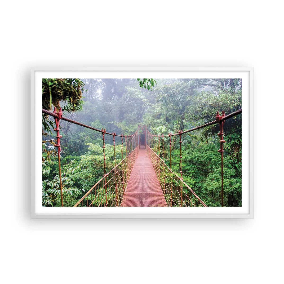 Poster in cornice bianca - Sospeso sopra gli alberi - 91x61 cm