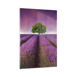 Quadro su vetro - Un campo di lavanda con un albero solitario e un cielo viola - 80x120cm - Sui campi di lavanda - Decorazione murale moderna per soggiorno e camera da letto ARTTOR