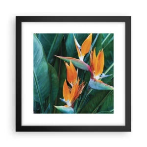 Poster in cornice nera - È un fiore o un uccello? - 30x30 cm