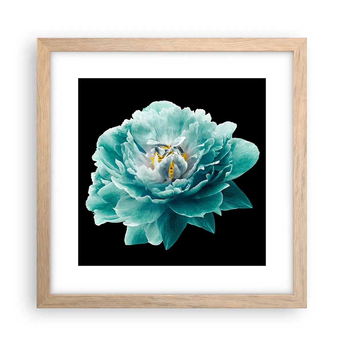 Poster in cornice rovere chiaro - Petali blu e oro - 30x30 cm