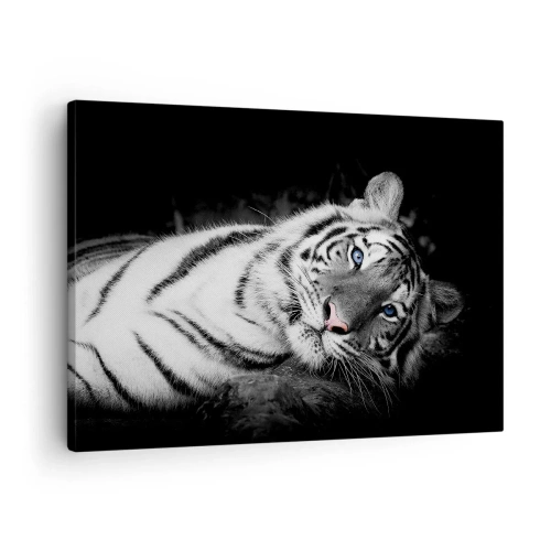 Quadro su tela - Stampe su Tela - Una tigre bianca artisticamente raffigurata su uno sfondo nero - 70x50cm - Selvaggità e pace - Decorazione murale moderna per soggiorno e camera da letto ARTTOR