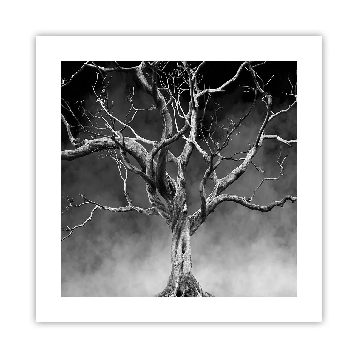 Poster - Primordiale e sacro - 40x40 cm