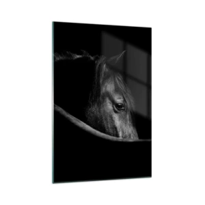 Quadro su vetro - Ritratto in bianco e nero di un cavallo con un sottile gioco di luci e ombre su uno sfondo scuro. - 70x100cm - Il principe nero - Decorazione murale moderna per soggiorno e camera da letto ARTTOR