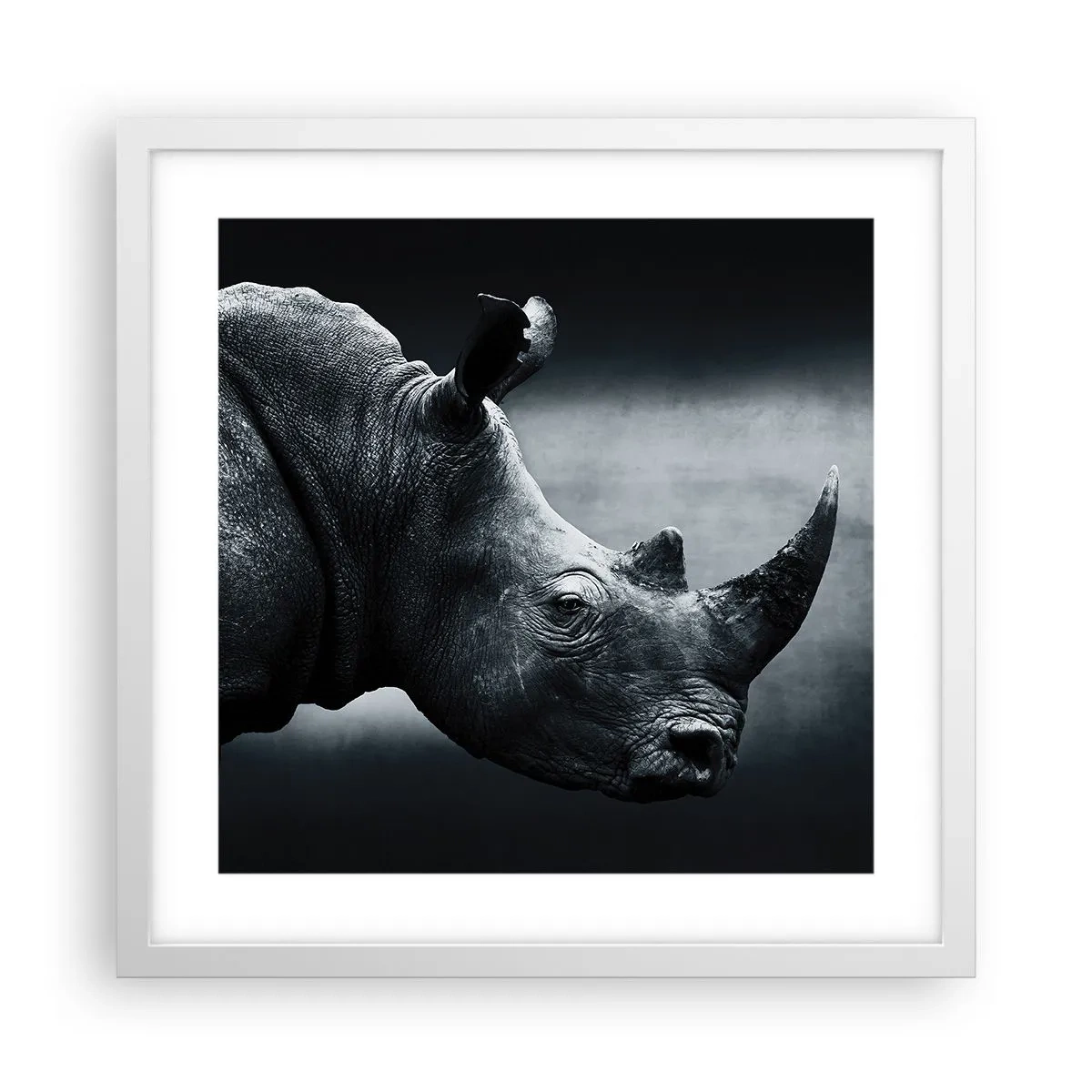 Poster in cornice bianca - Profilo destro - 40x40 cm