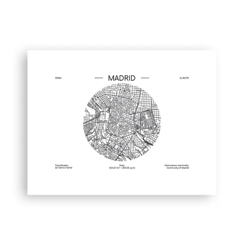Poster - Anatomia di Madrid - 40x30 cm