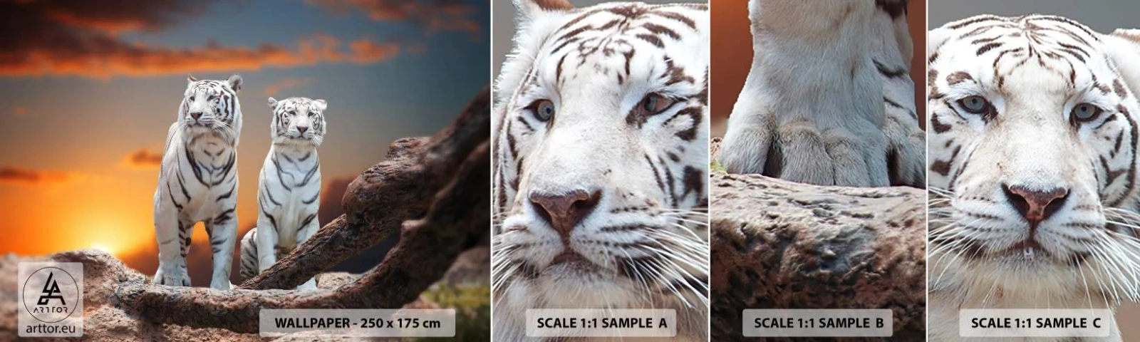 Campione Di Fotomurale Standard Eco - Proprio come a Narnia - Animali, Tigre, Tramonto - 100x30 cm